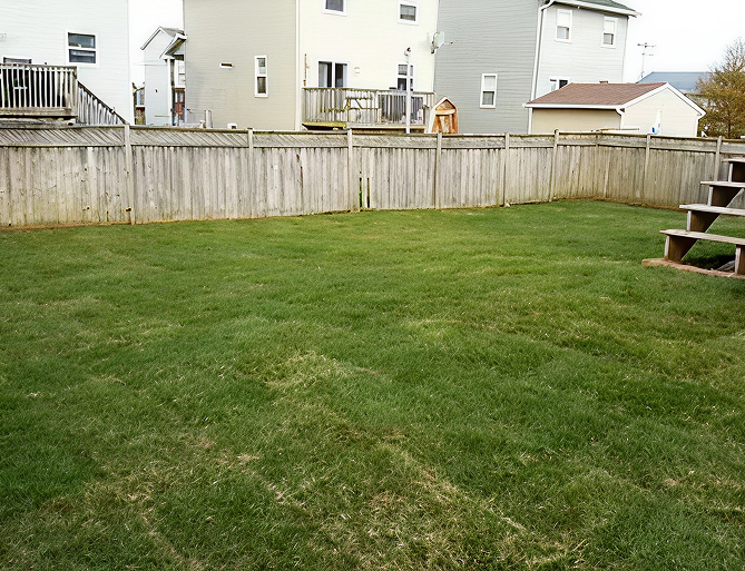 Backyard lawn with wooden fence