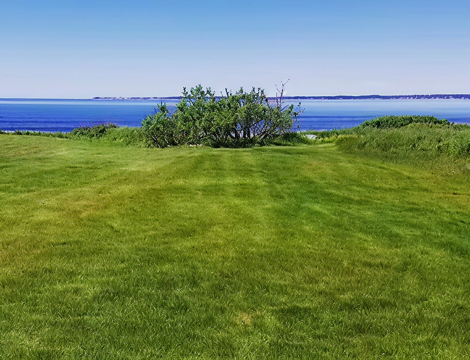 Coastal lawn landscape