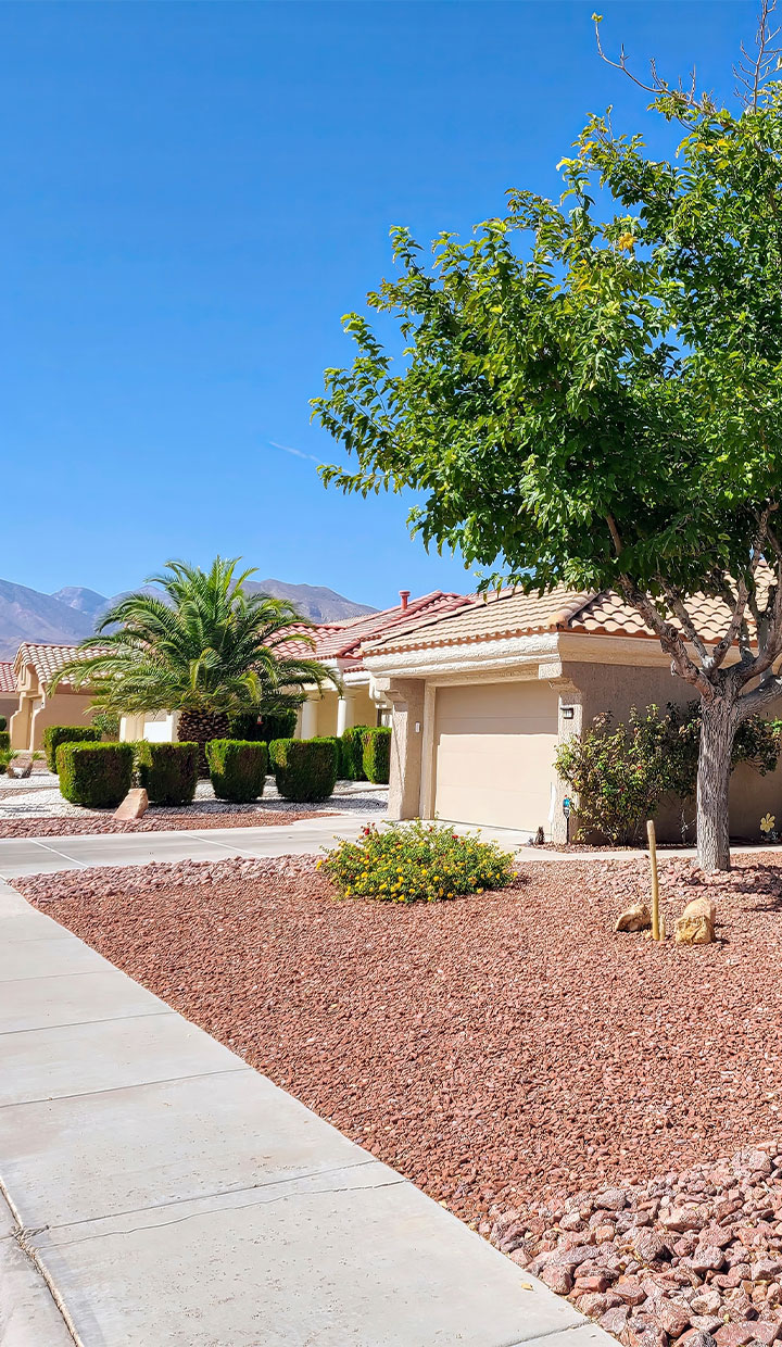 Low Maintenance Front-yard Landscaping